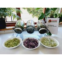 Kitchen Garden 3L Sprouting Kit